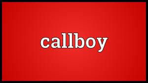 Callboy 1